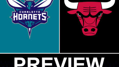 Charlotte Hornets vs Chicago Bulls Preview: Game 25