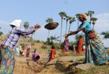 Google Preferred Source