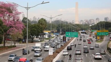 IPVA 2026 em SP: veja calendário e como consultar valor