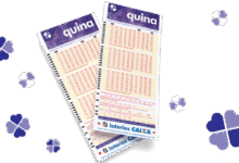 Quina 6893 acumula e deve pagar R$ 5 milhões hoje