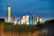 Suzano corta capex em 2026 e anima bancos com maior geração de caixa