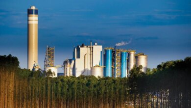 Suzano corta capex em 2026 e anima bancos com maior geração de caixa