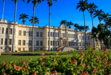 Universidade Federal de Viçosa - Notícias