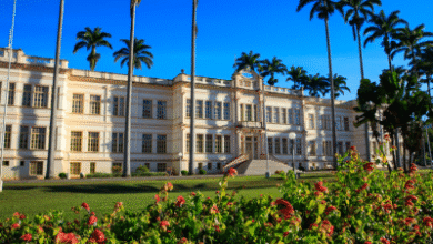 Universidade Federal de Viçosa - Notícias