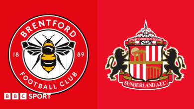 Brentford vs Sunderland: Premier League preview, team news, stats & head-to-head