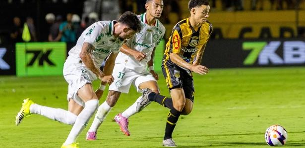 Piquerez e Riquelme Fillipi perseguem Tavinho na partida entre Novorizontino x Palmeiras