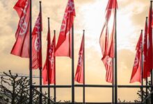 Wie Mainzer Jugendliche jetzt ihre Wünsche an die Politik richten können