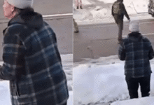 Esposa de mulher morta por agente do ICE nos EUA se desespera após tiros