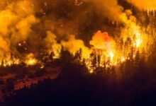 Grande incêndio florestal na Patagônia argentina está fora de controle e já destruiu 5.500 hectares