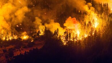 Grande incêndio florestal na Patagônia argentina está fora de controle e já destruiu 5.500 hectares