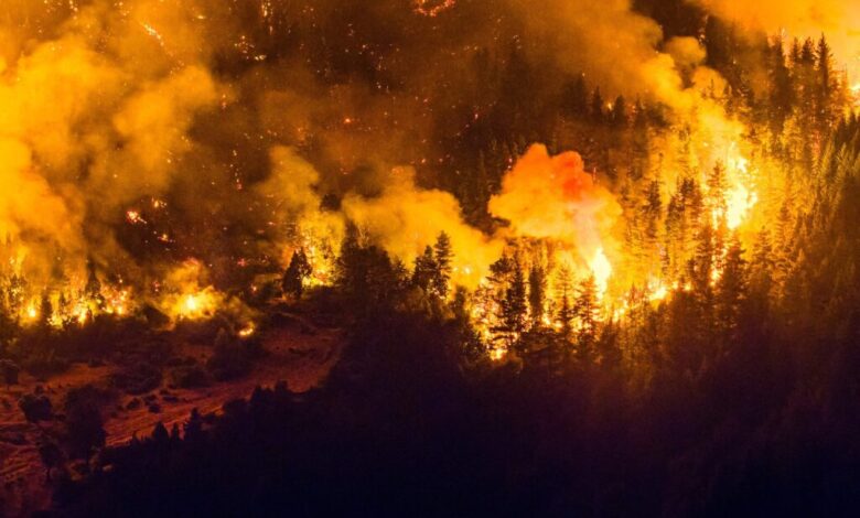Grande incêndio florestal na Patagônia argentina está fora de controle e já destruiu 5.500 hectares