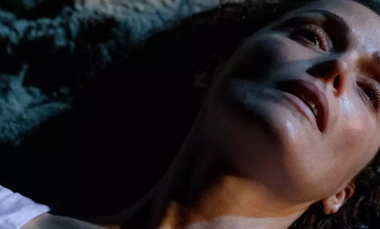 Se Eu Tivesse Pernas, Eu te Chutaria