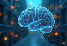 Brazil 20-year study reveals top predictor of cognitive decline