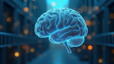 Brazil 20-year study reveals top predictor of cognitive decline