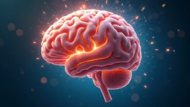 Brazil: Menopause literally changes brain structure, here's what that means