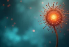 Dr. Luiz Teixeira da Silva Júnior fala sobre transplante de medula óssea