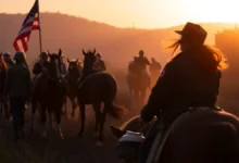 Cavalo de Guerra e a emoção da Primeira Guerra Mundial no cinema