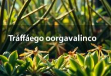 Tráfego orgânico: como atrair visitantes sem gastar com anúncios