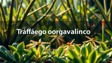 Tráfego orgânico: como atrair visitantes sem gastar com anúncios