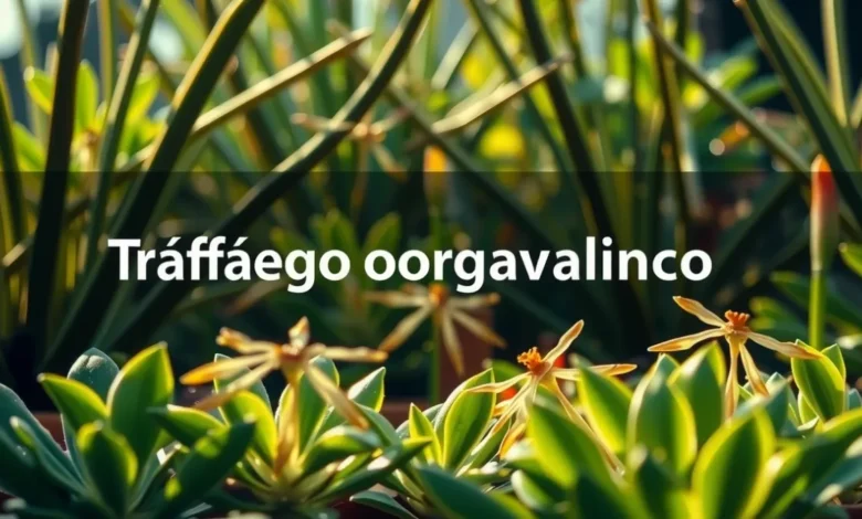 Tráfego orgânico: como atrair visitantes sem gastar com anúncios
