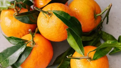 Brazil study links everyday foods to lower diabetes risk