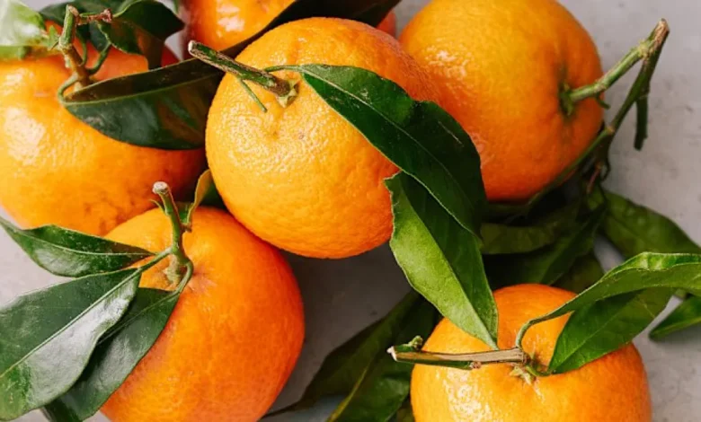Brazil study links everyday foods to lower diabetes risk