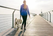 Brazil Study Asks: Does Walking Really Protect Your Brain