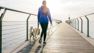 Brazil Study Asks: Does Walking Really Protect Your Brain