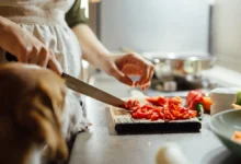 Brazil Women 4x More Likely to Have Overlooked Gut Condition