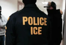 Professor de jiu-jítsu brasileiro é preso pelo ICE nos EUA; alunos pedem soltura